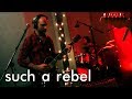 Gorilla Rodeo! - Such a Rebel 