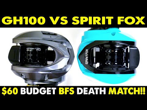 SPIRIT FOX VS GH100 IN $60 BUDGET BFS BATTLE!!!