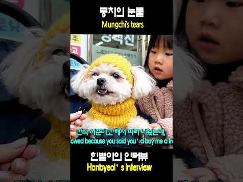 뭉치의 눈물 Mungchi’s tears#한별이 #웃긴영상#귀여운아기 #코믹영상#Hanbyeol #Funny…