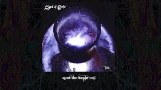 23rd of Elvis. Spot The Brain Cell.