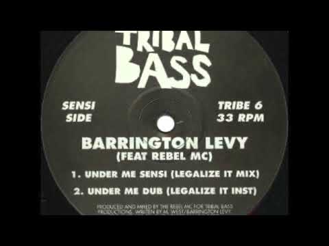 Barrington Levy Feat Rebel MC - Under Me Sensi