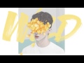 Troye Sivan - WILD [10 minute loop] 