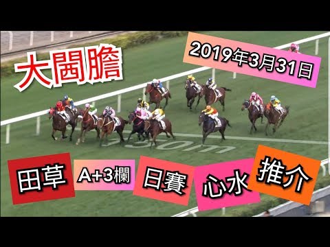 香港賽馬31/03/2019 沙田A+3欄日賽心水推介(同場加映怒屌馬會董事)支持賴維銘!!!!!!
