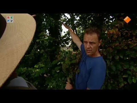 De Rijdende Rechter 18-02-2015 - Klimmen of trimmen in Limmen