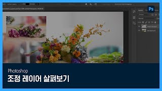 [포토샵] #11 조정 레이어 살펴보기
