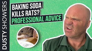 Does Baking Soda Really Kill Rats? - Review From An Exterminator