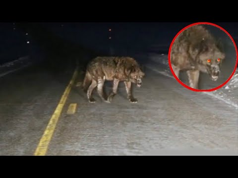 Graban Algo Muy Extraño Y Aterrador En Estados Unidos 😨