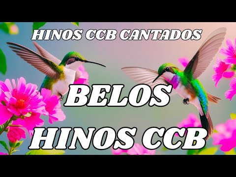 HINOS CANTADOS CCB- 20/12/2025  HINÁRIO 5 - CCB 341,342,343,344,345,346,347,348,349,350,351,352