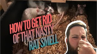 How to get rid of that nasty rat smell