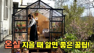 벤자민가든 온실 실사용 솔직 리뷰 및 온실 설치 전 꼭 알아야 할 꿀팁
