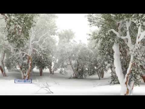 Tombe La Neige... @TatianaBlue のサムネイル