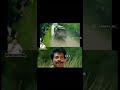 Singamuthu Reaction