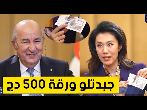 تبون يكشف لمذيعة صينية عن برنامج الجزائر لغزو الفضاء