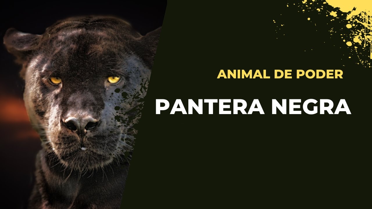 Animal de poder: Pantera Negra.