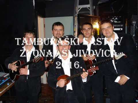 TAMBURAŠKI SASTAV ZVONA -  ŠLJIVOVICA