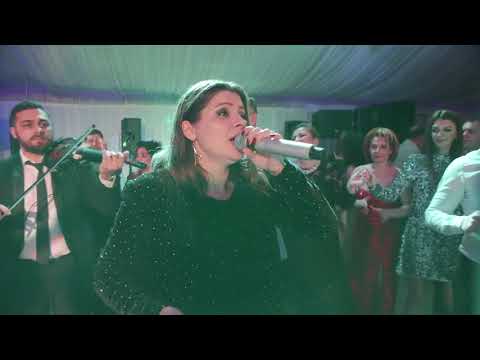 Favorit Band din Constanta    Un trandafir creste la firida mea   Revelionul Artistilor 2018