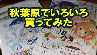 ゲーマーズ、アニメイトで買ってきたもの紹介!【ごちうさ、ノゲノラ】