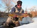 TRUCKEE RIVER MONSTER BROWNS music by "TRAFFIC" "HIDDEN TREASURE" .wmv