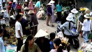 preview picture of video 'Chợ Hoa Ngày Tết 2010 - Chợ Cầu - Lang Phuong Dien'