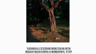 Download lagu Video Literasi Whatsapp 15 Detik mp3