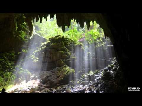 Los de la Isla - Pleneros de la Cresta