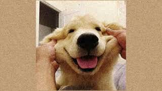 The TOYS - ลาลาลอย (100%) [Lyrics] - T'Toys【Cover】