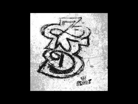 ZWD- Porobieni Rapem