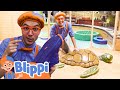 Blippi Explores A Children S Museum Learning Kid S Toys Kids TV Shows Cartoons For Kids