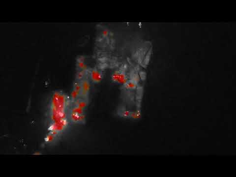 Drone footage of mobile home fires in Melrose