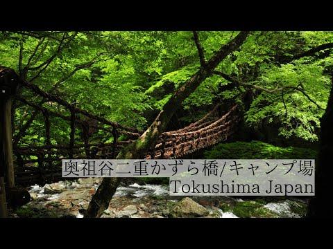 奥祖谷二重かずら橋/キャンプ場