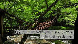 奥祖谷二重かずら橋/キャンプ場