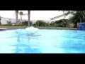 Hoehn Honda Ron Durie Diver Television Commercial