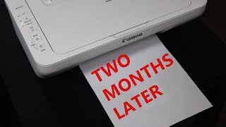 Canon Pixma MG2522 Printer - Review After 2 Months!