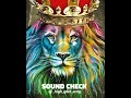 SOUND CHECK DJ HIGH GAIN SONG Viralindia Maharastra Pune Brandedsong Djhighgainsong8036