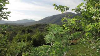 Biagio Antonacci qui