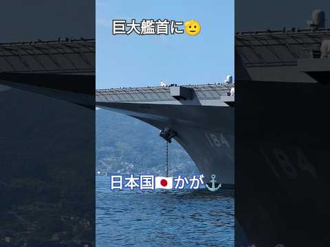 大日本帝国海軍フリゲート艦扶桑、1880年代