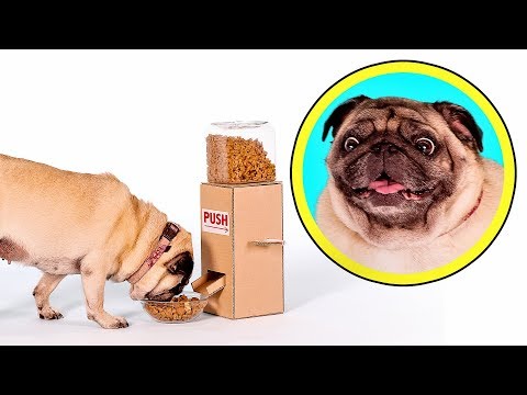 download lagu mp3 mp4 Distributeur Croquette, download lagu Distributeur Croquette gratis, unduh video klip Distributeur Croquette