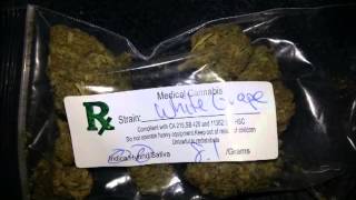 Fortunate Youth  Sweet Sensi