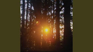 Almost Xiu Xiu, Almost Deerhoof