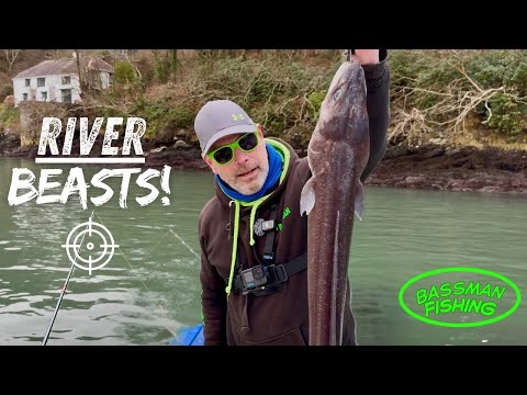 Sea Fishing Uk-Winter Estuary CONGER Fishing 