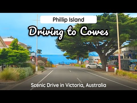 Driving to Australia's Penguin Island, scenic and educational drive