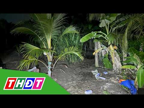 Đồng Tháp: Xác định nguyên nhân 2 anh em tử vong trong vườn dừa | THDT