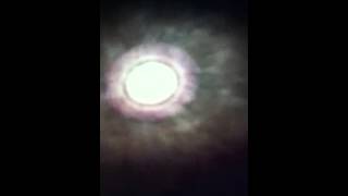 Easy Money (Muir excerpt)