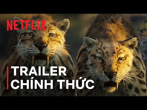 Trailer chính thức