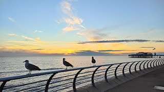 LIVE in Blackpool at Sunset - August 2022