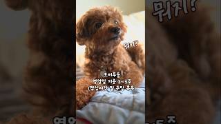 강아지가 상황을 판단하고 보호자를 지키기 위해 나서는데 시간이 얼마나 걸릴까 !