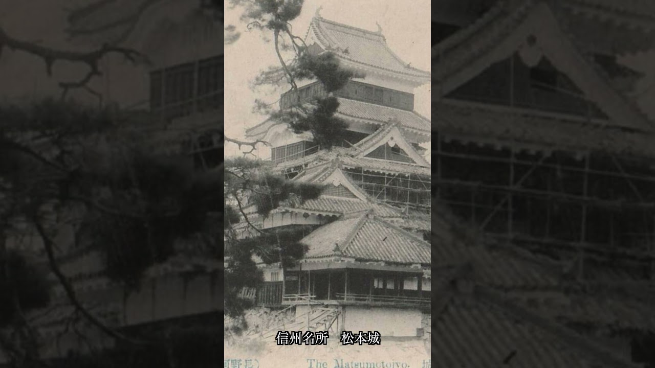 信州名所　松本城【戦前絵葉書】