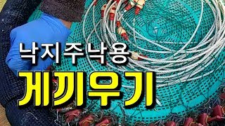 야간조업을 위해 주낙에 미끼인 게를 끼우는 영상입니다.