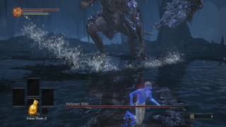 SL1 Fists only Darkeater Midir
