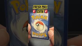 CUTIE🚨 #shortsviral #shortsfeed #shorts #shortvideo #short #pokemoncards #pokemontcg #shortsvideo